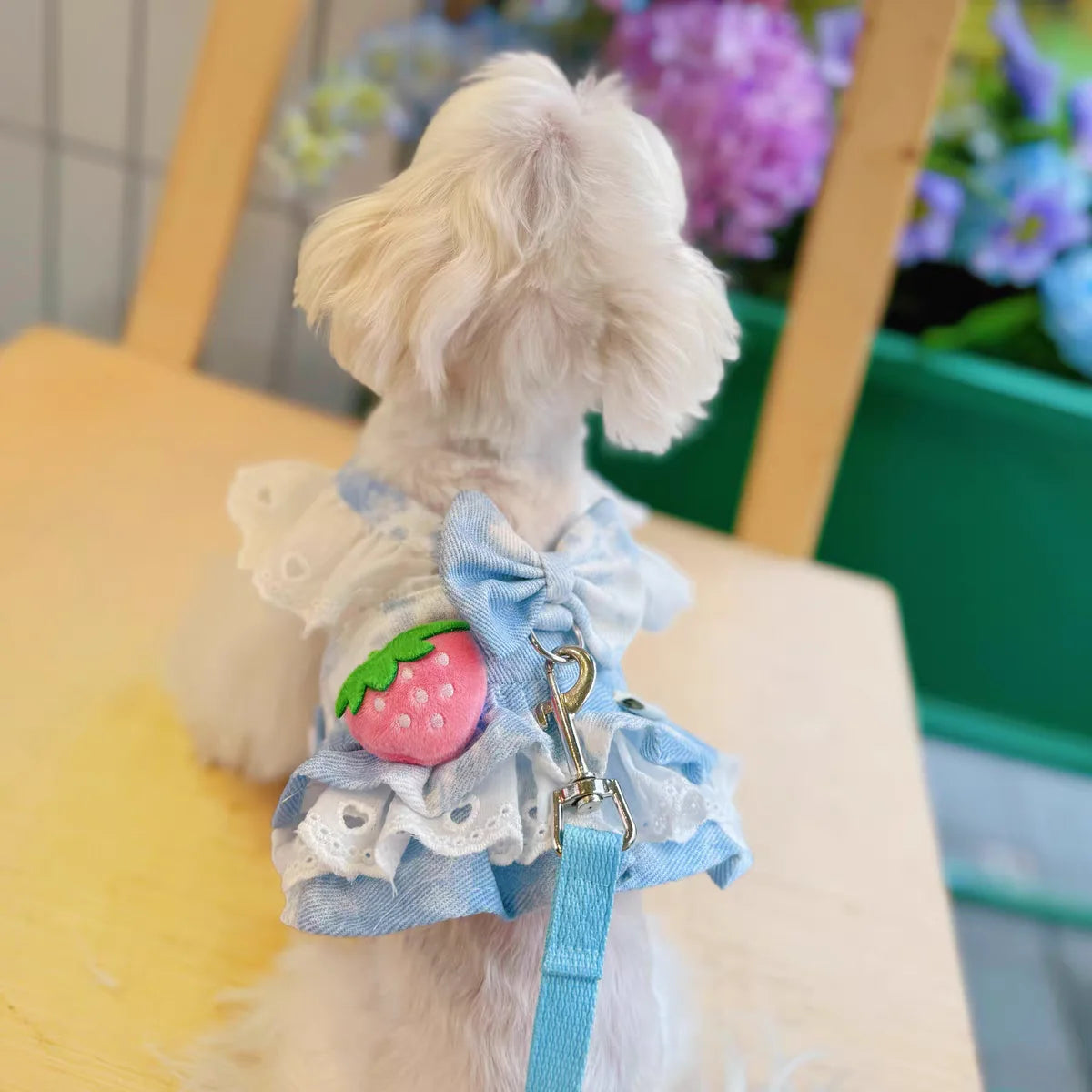 Strawberry Denim Pet Dog Accessory Pink Blue Dachshund Girl Boy Cute Doggie Harness Dress Apparel Outdoor Puppy Small Collar Cat