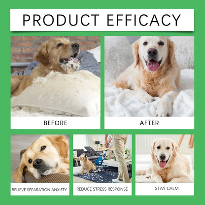 Patexy™ Dog Emotion Diffuser Set 
