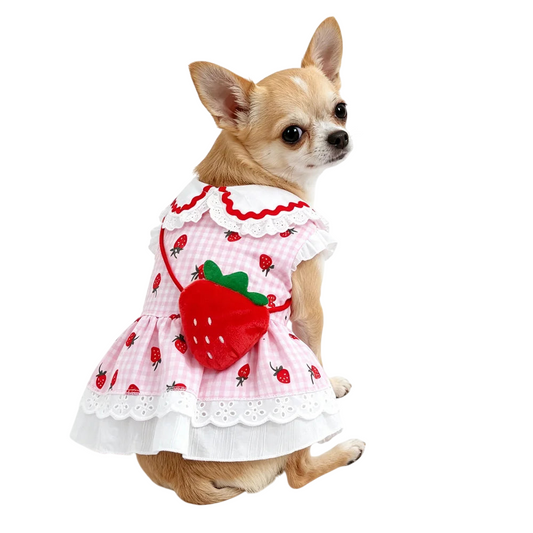 Patexy™Cute Strawberry Plaid Dog Dress – Summer Spring Girl Pet Apparel
