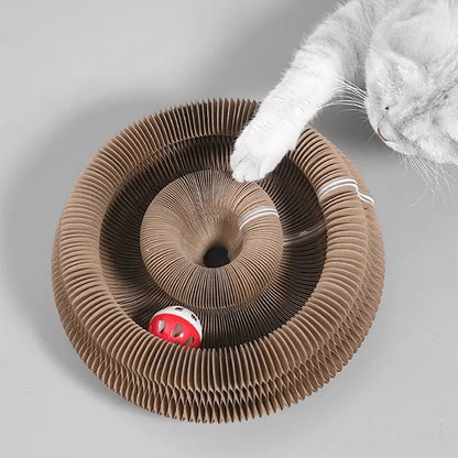 Patexy™ Foldable Multi-Level Cat Scratcher with Bell & Catnip