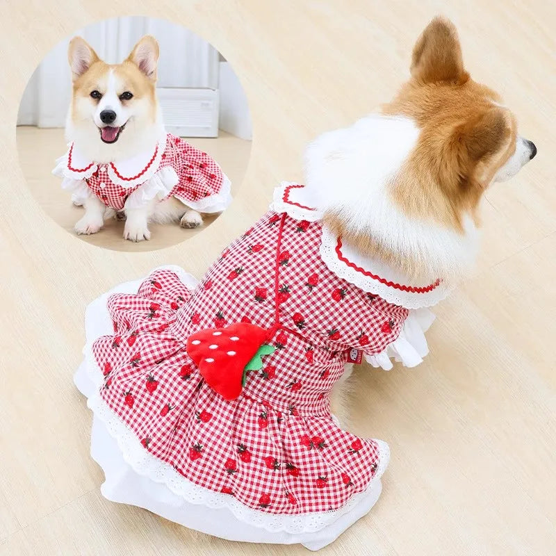 Patexy™Cute Strawberry Plaid Dog Dress – Summer Spring Girl Pet Apparel