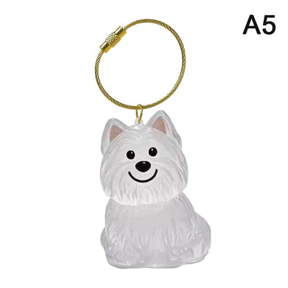 Patexy™Cat Memorial Keychain - Handmade Pet Hair Keepsake & Storage Container