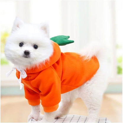 Patexy™Warm Winter Fruit Costume Coat for Chihuahua & Frenchie