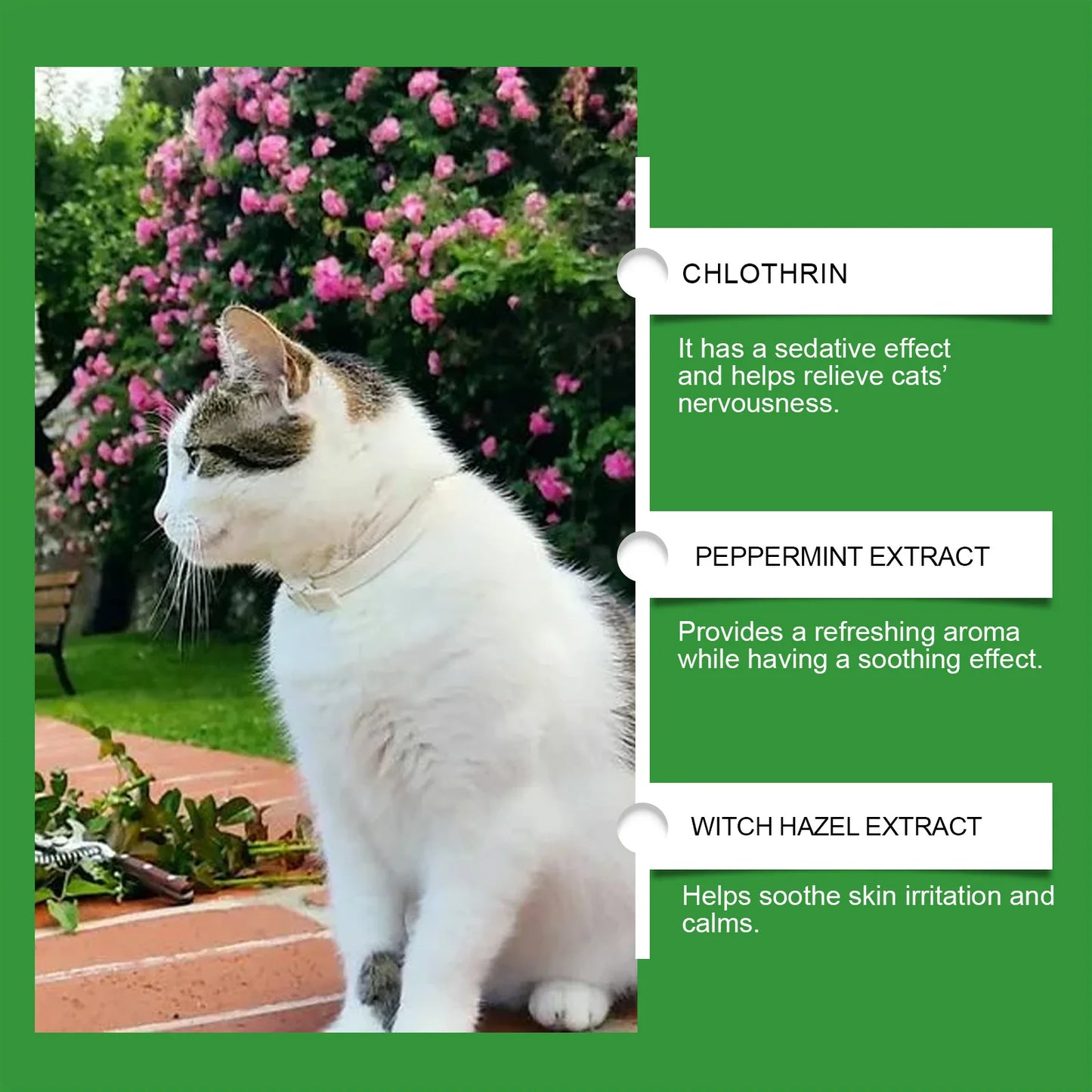 Patexy™ Cat Calming Diffuser 