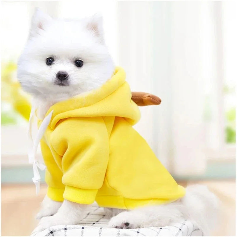 Patexy™Warm Winter Fruit Costume Coat for Chihuahua & Frenchie