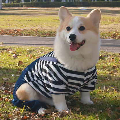 Patexy™Autumn/Winter Soft Pet Coat for Small to Large Dogs