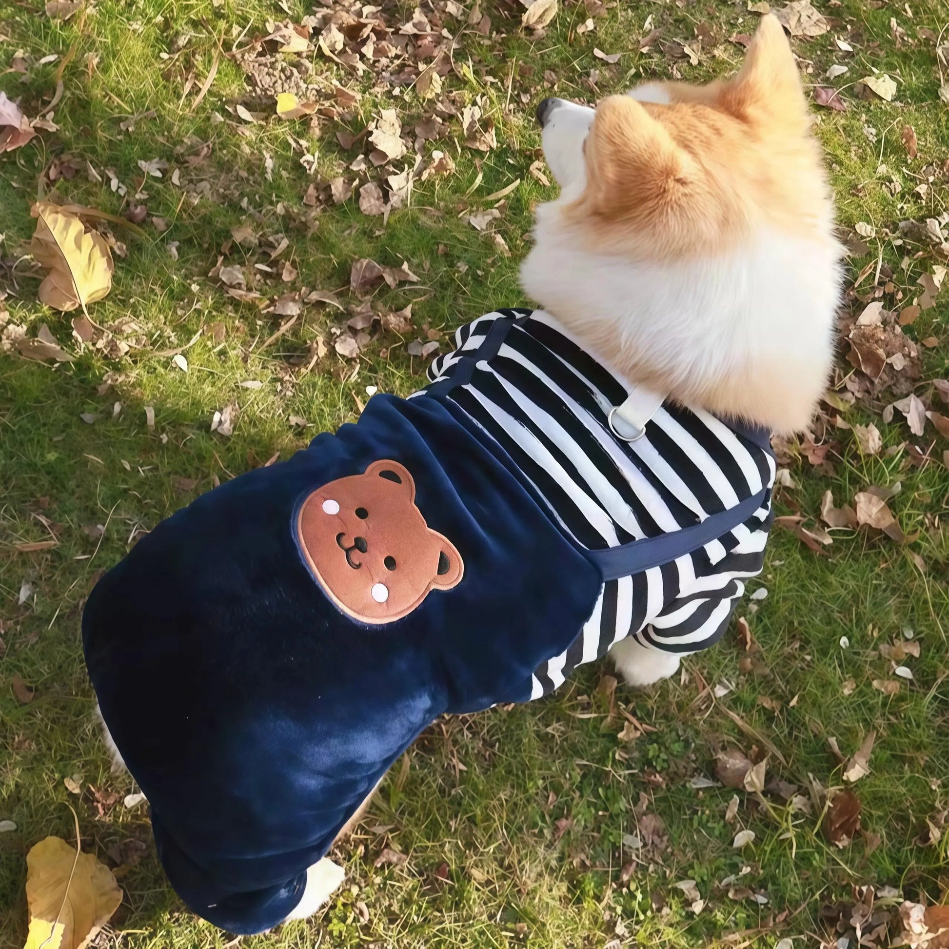 Patexy™Autumn/Winter Soft Pet Coat for Small to Large Dogs