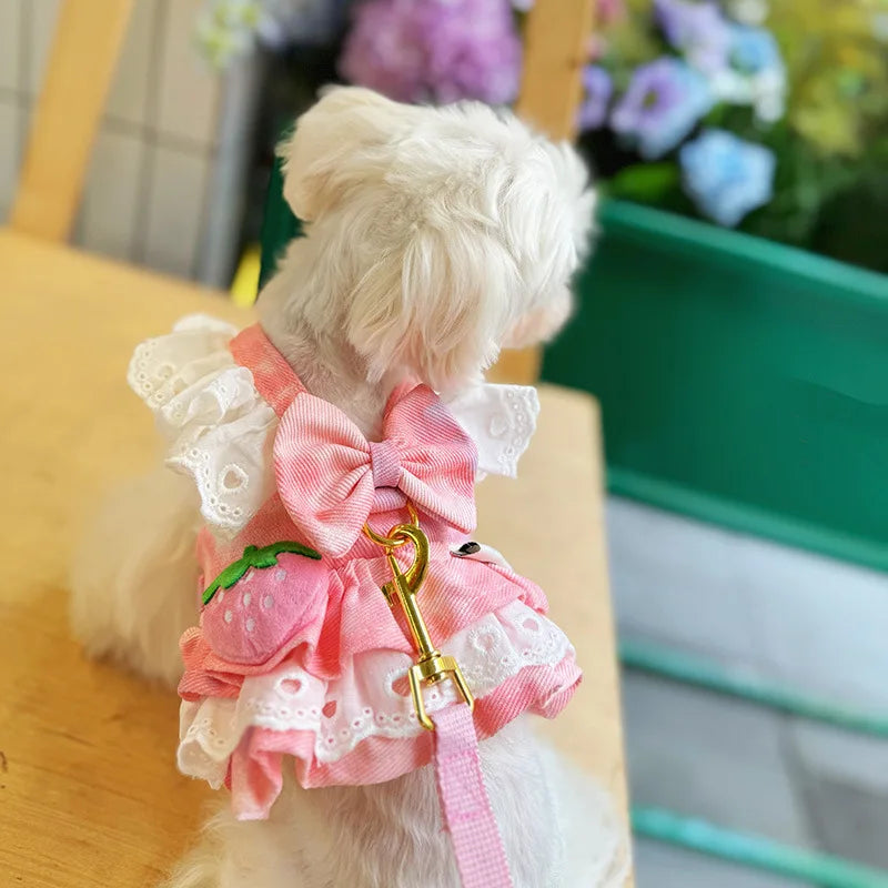 Strawberry Denim Pet Dog Accessory Pink Blue Dachshund Girl Boy Cute Doggie Harness Dress Apparel Outdoor Puppy Small Collar Cat